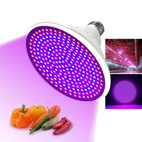 LED Grow Lamp