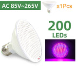 LED Grow Lamp