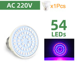 LED Grow Lamp