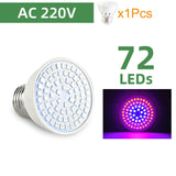 LED Grow Lamp