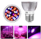 Full Spectrum cfl LED Grow Light Lampada E27 E14 MR16 GU10 Indoor Plant Lamp Flowering Hydroponics System IR UV Garden 110V 220V