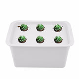 6 Holes Indoor Garden Cabinet Box