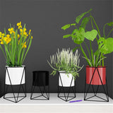 Indoor Garden Plant Holder
