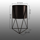 Indoor Garden Plant Holder