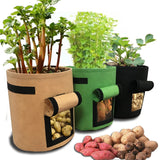 Potato Tomato Vegetable garden Grow Bag pot