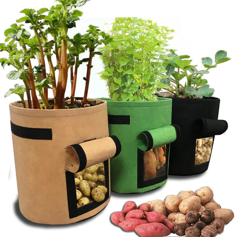 Potato Tomato Vegetable garden Grow Bag pot