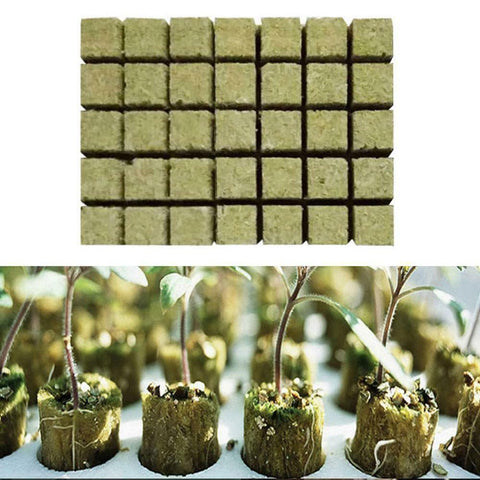 50pcs grow plug a pack Grodan