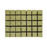 50pcs grow plug a pack Grodan