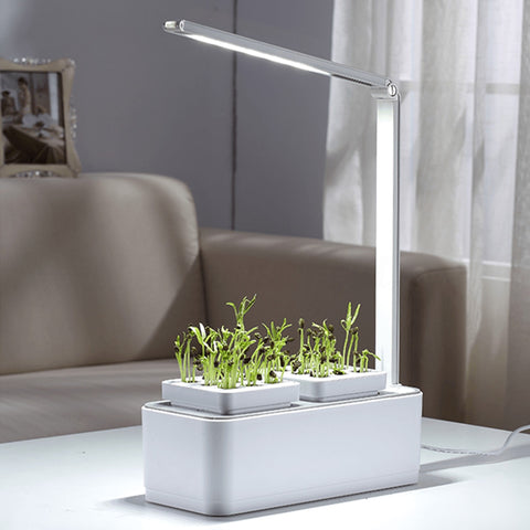LED Light Automatic Indoor Decoration Garden