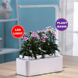 LED Light Automatic Indoor Decoration Garden