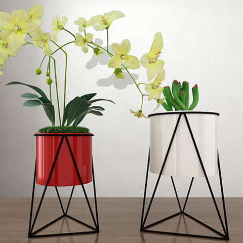 Indoor Garden Plant Holder