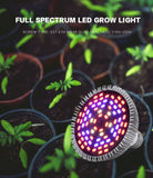 Indoor Plant Lamp