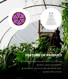 Indoor Plant Lamp
