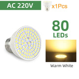 LED Grow Lamp