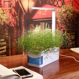 Indoor Herb Garden