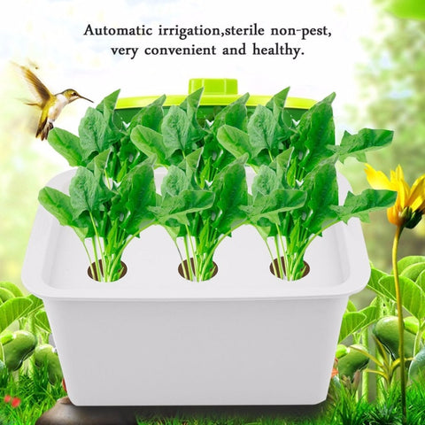 6 Holes Indoor Garden Cabinet Box
