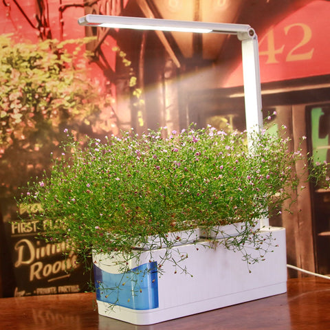 Led Flower Vegetables Hydroponics Plants Garden