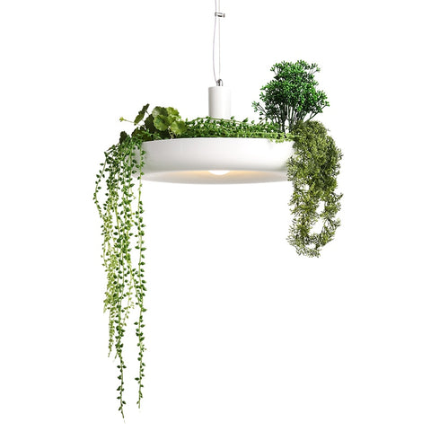 Garden Plant Pendant Lights