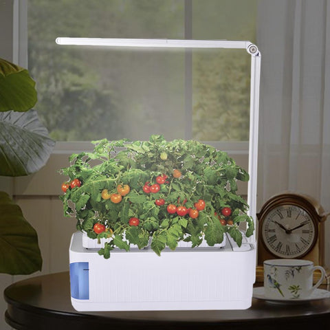 Indoor Herb Garden