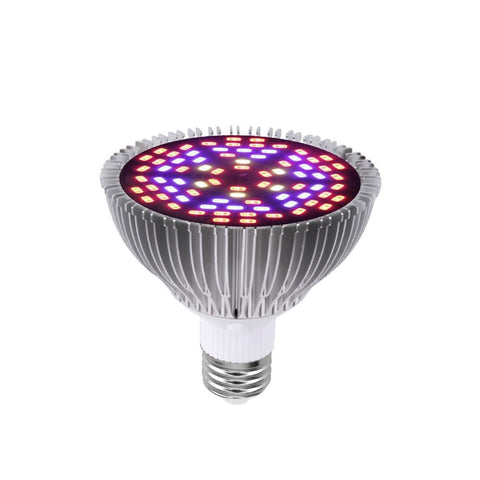 Indoor Plant Lamp