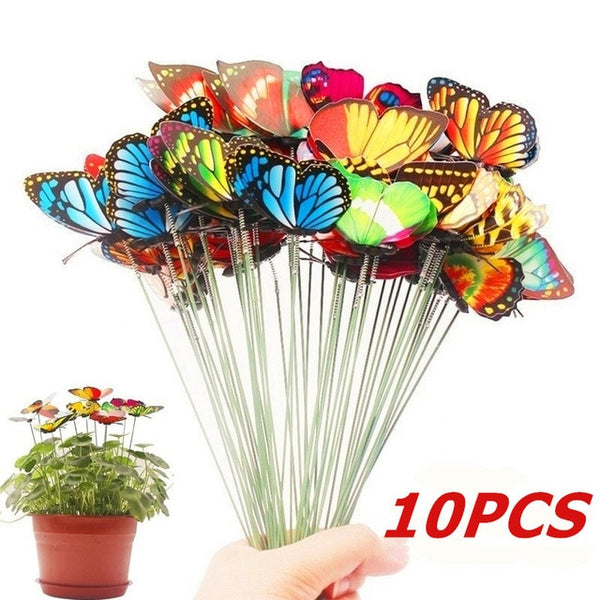 Colorful  Flower Pot