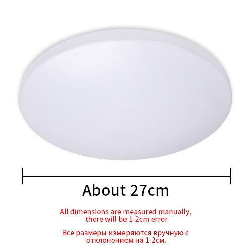 LED Ceiling Remote Control Lights Indoor Smart Garden