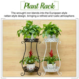 Iron Double-layer Plant Stand