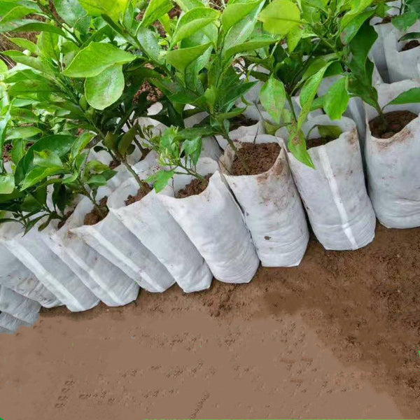 100PCS Seedling Plants Nursery Bags
