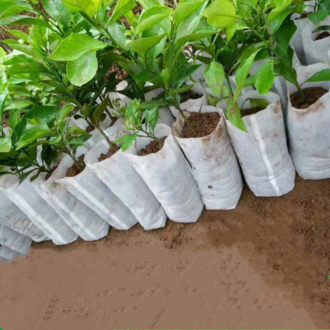 100PCS Seedling Plants Nursery Bags
