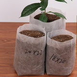 100PCS Seedling Plants Nursery Bags