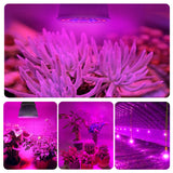 Full Spectrum E27 220V LED Plant Grow Light