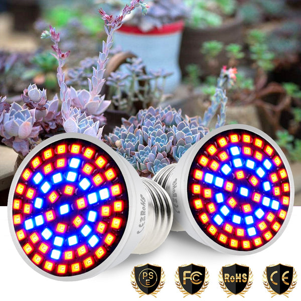E14 220V LED Plant Grow Light