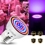 E14 220V LED Plant Grow Light