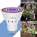 E14 220V LED Plant Grow Light