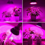 LED Plant Grow Light Bulb