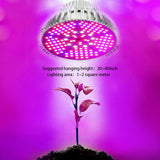 LED Plant Grow Light Bulb