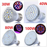 LED Plant Grow Light Bulb