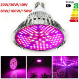 LED Plant Grow Light Bulb